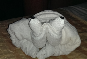 towelcrab